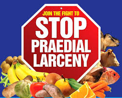 stop predial larceny