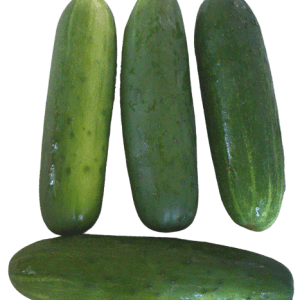 Cucumbers