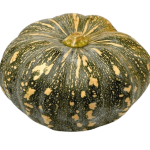 Pumpkin