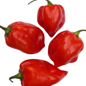 Hot Peppers