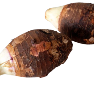 Dasheen/Cocoa Yam