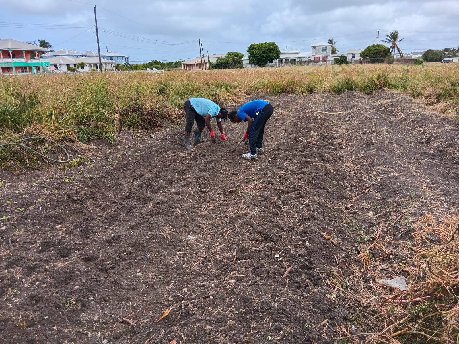 Join Us in Creating a Sustainable Future for Barbados!